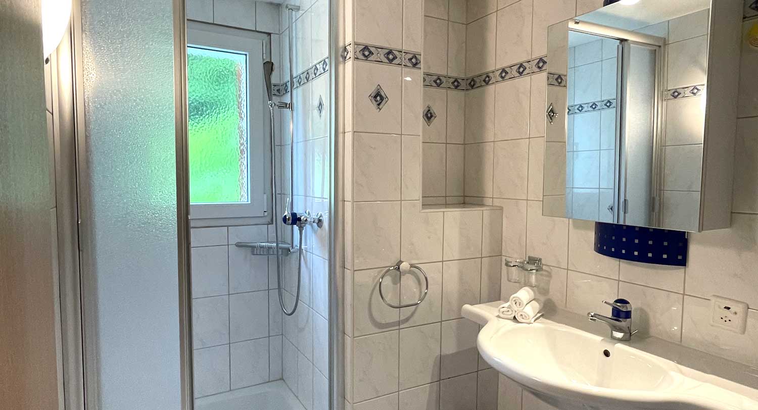 ABA Gentinetta 2: Bathroom with shower and toilet.